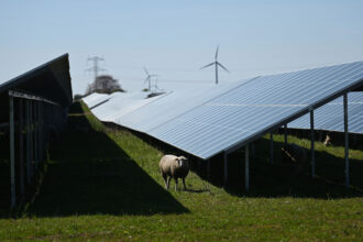 A sheep grazes among photovoltaic solar panels in the village of Hjolderup, Denmark. Credit: Sergei Gapon/AFP via Getty Images