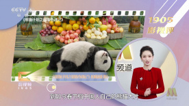 国内精品亚洲